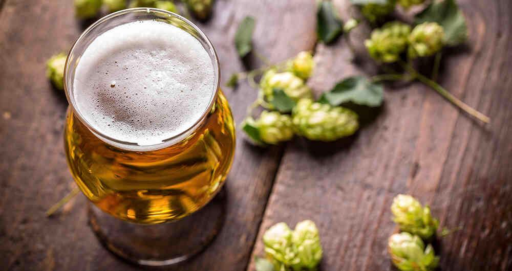 "Marantá entrega las mejores cervezas artesanales producidas con recetas tradicionales".