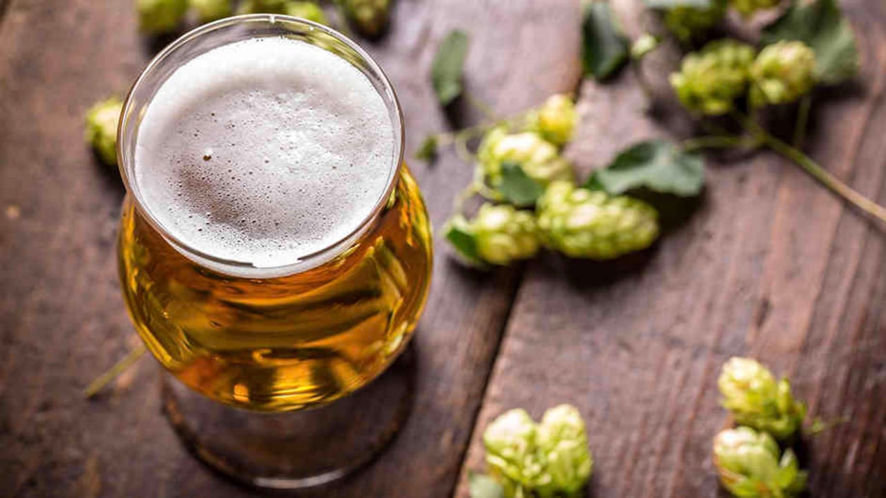 "Marantá entrega las mejores cervezas artesanales producidas con recetas tradicionales".