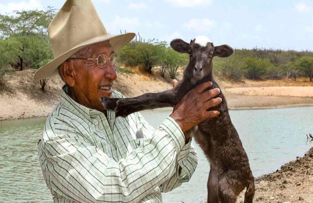 El abuelo Lucas alza uno de sus tesoros. Portete, Uribia, Alta Guajira, 2011. // Jesús Abad Colorado