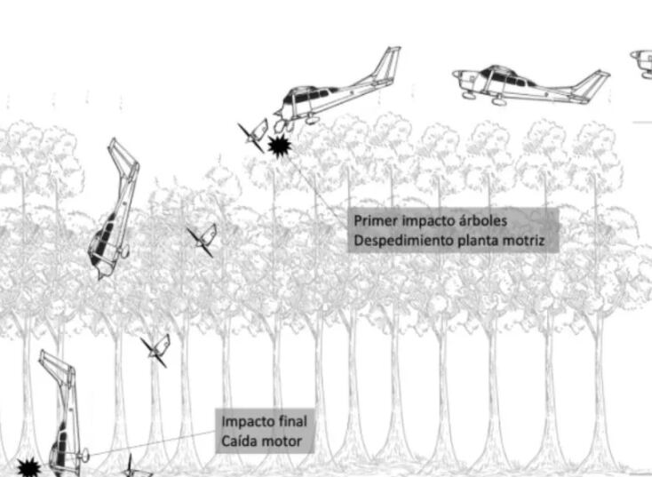 El avión se posó aparentemente de manera controlada sobre los árboles y de inmediato se precipitó a tierra de manera casi vertical.