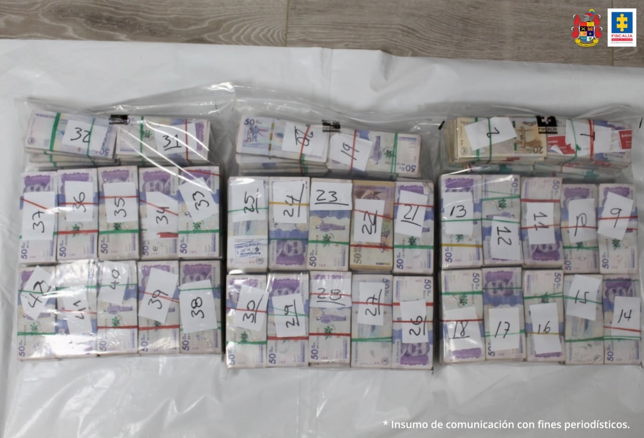 Durante el procedimiento el conductor del vehículo no presentó soportes ni documentación que sustentaran el origen o destinación de la suma, por lo que fue detenido y judicializado.