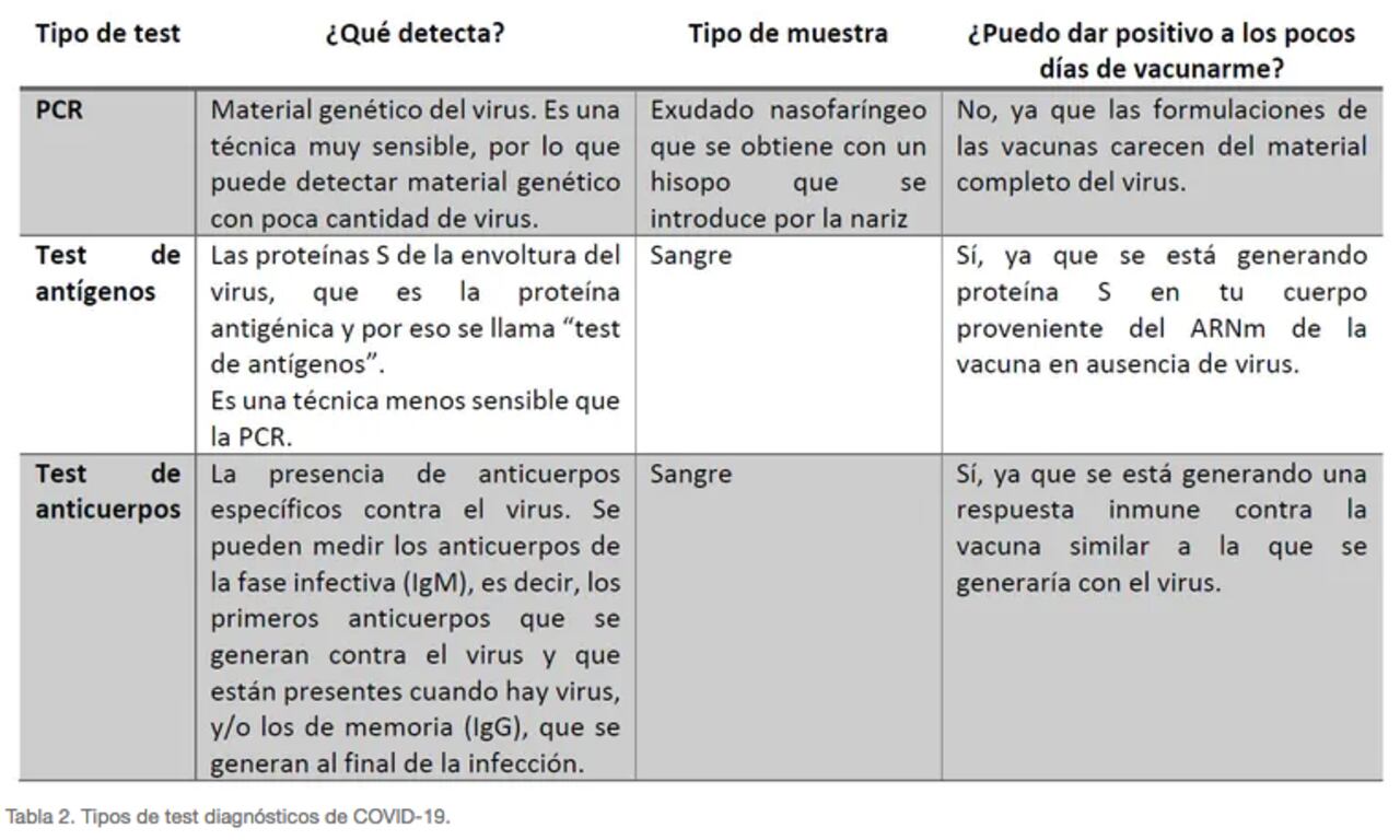 Tipos de test diagnósticos de COVID-19