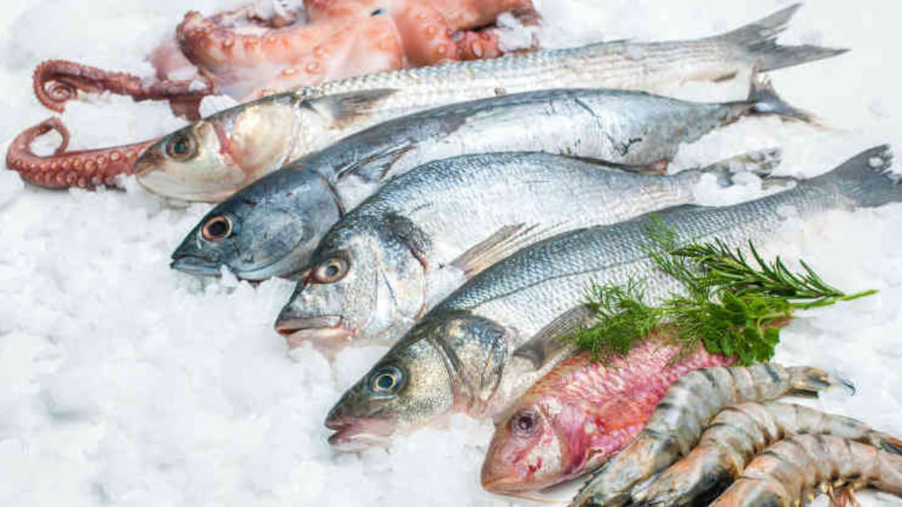 El Invima y la Aunap visitaron la empresa señalada de importar y comercializar merluza de espuma.