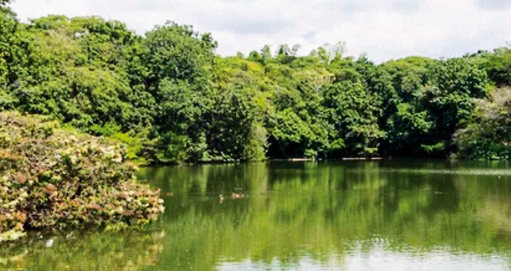 El Fondo Cali busca tener recursos con miras a preservar la diversidad biológica a nivel mundial.