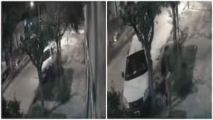 Víctima de robo murió en la escena, en Argentina este 30 de diciembre de 2022.