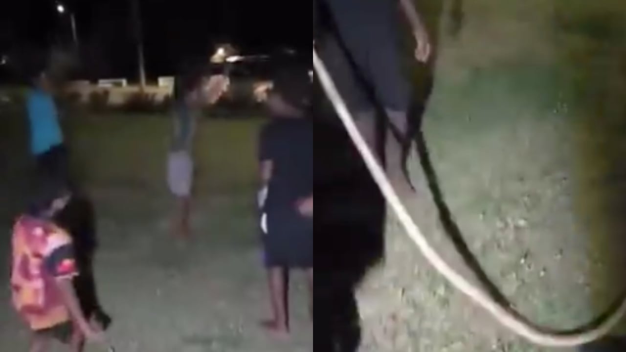 Los niños en Australia jugando con la serpiente.