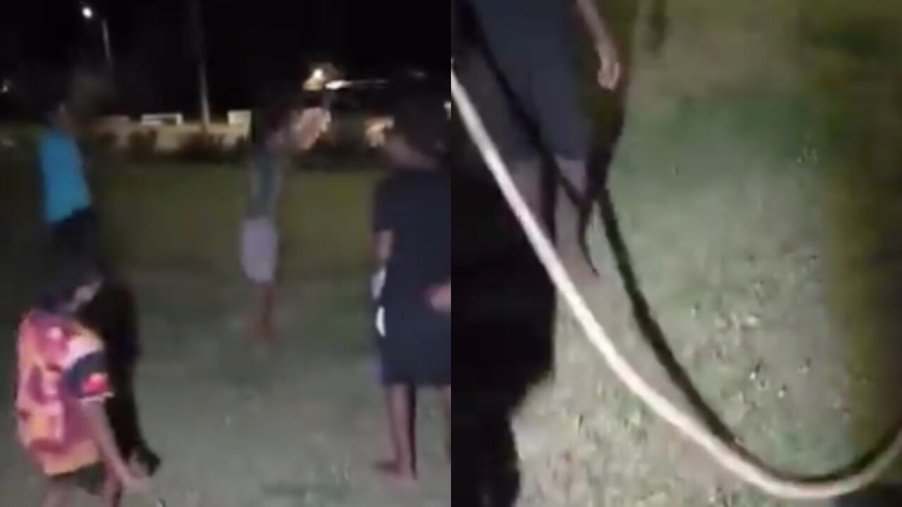 Los niños en Australia jugando con la serpiente.