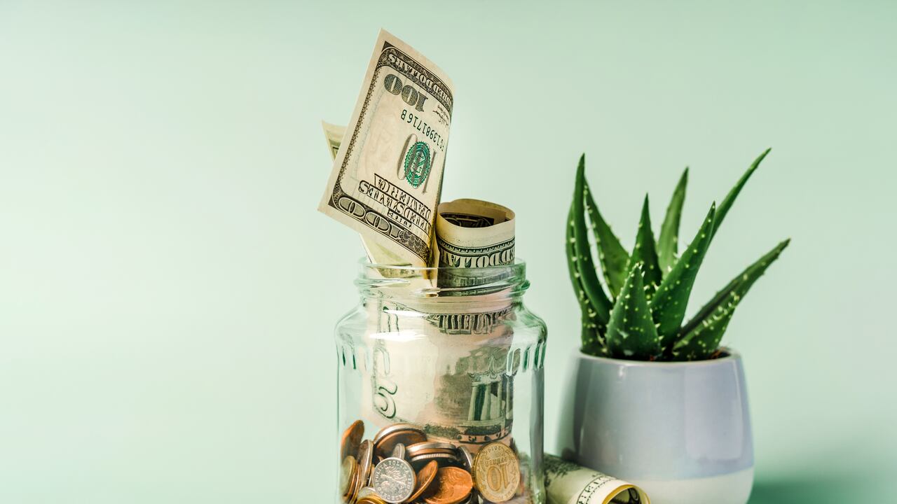 La planta de aloe vera se relaciona con dinero.