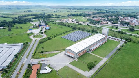 Especial Cali y Valle del Cauca, Contenido Harinera del Valle