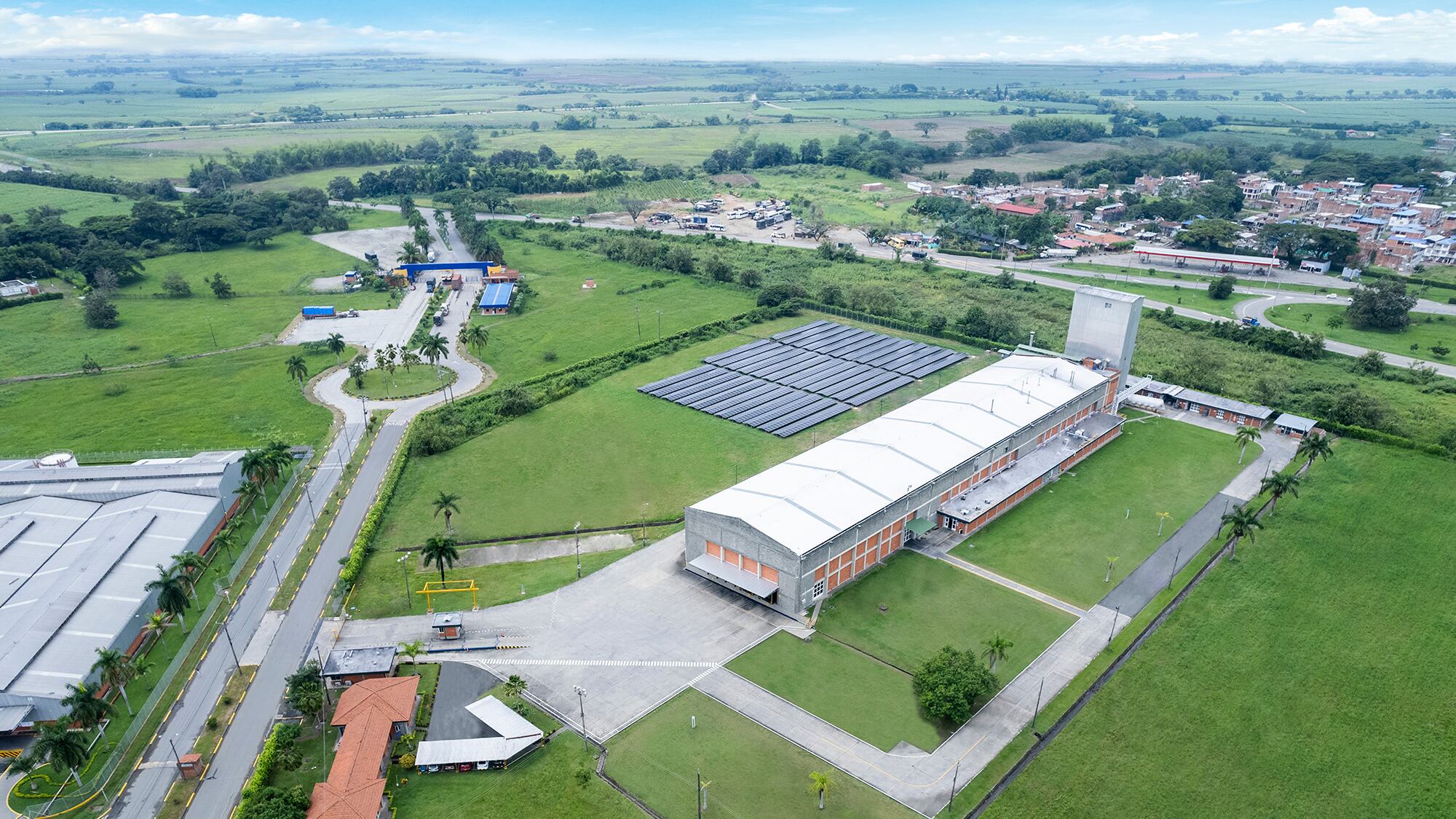 Especial Cali y Valle del Cauca, Contenido Harinera del Valle