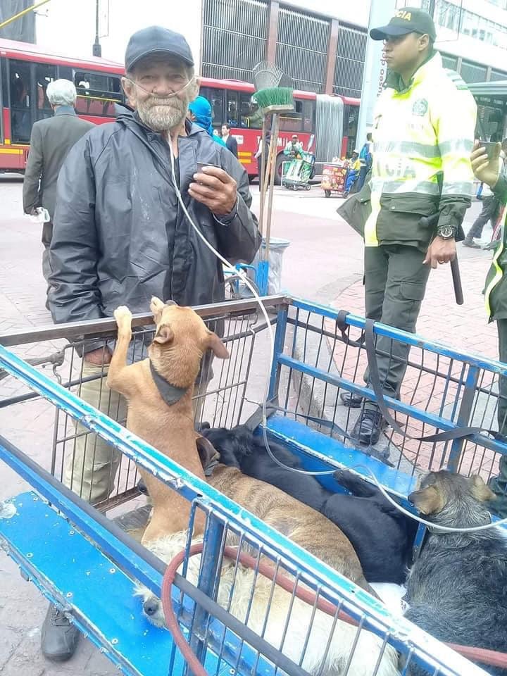 Don Jesús mantenía a sus 12 mascotas en una carreta para cuidarlos de los peligros de la calle.