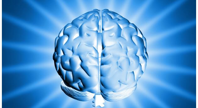 Cuando se habla de la plasticidad del cerebro, se quiere decir que hay un cambio en las conexiones entre neuronas y en las neuronas mismas.