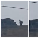 Ejército sostuvo combates con grupos armados tras hostigamiento en Jambaló, Cauca.