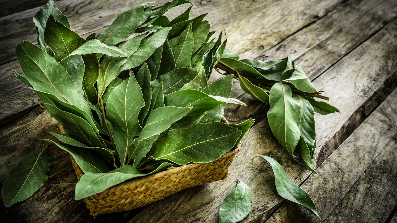 El laurel también tiene beneficios en la salud.