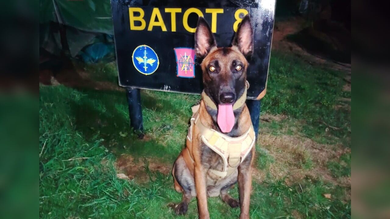 Hela ha apoyado las labores de las tropas en la región del Catatumbo.