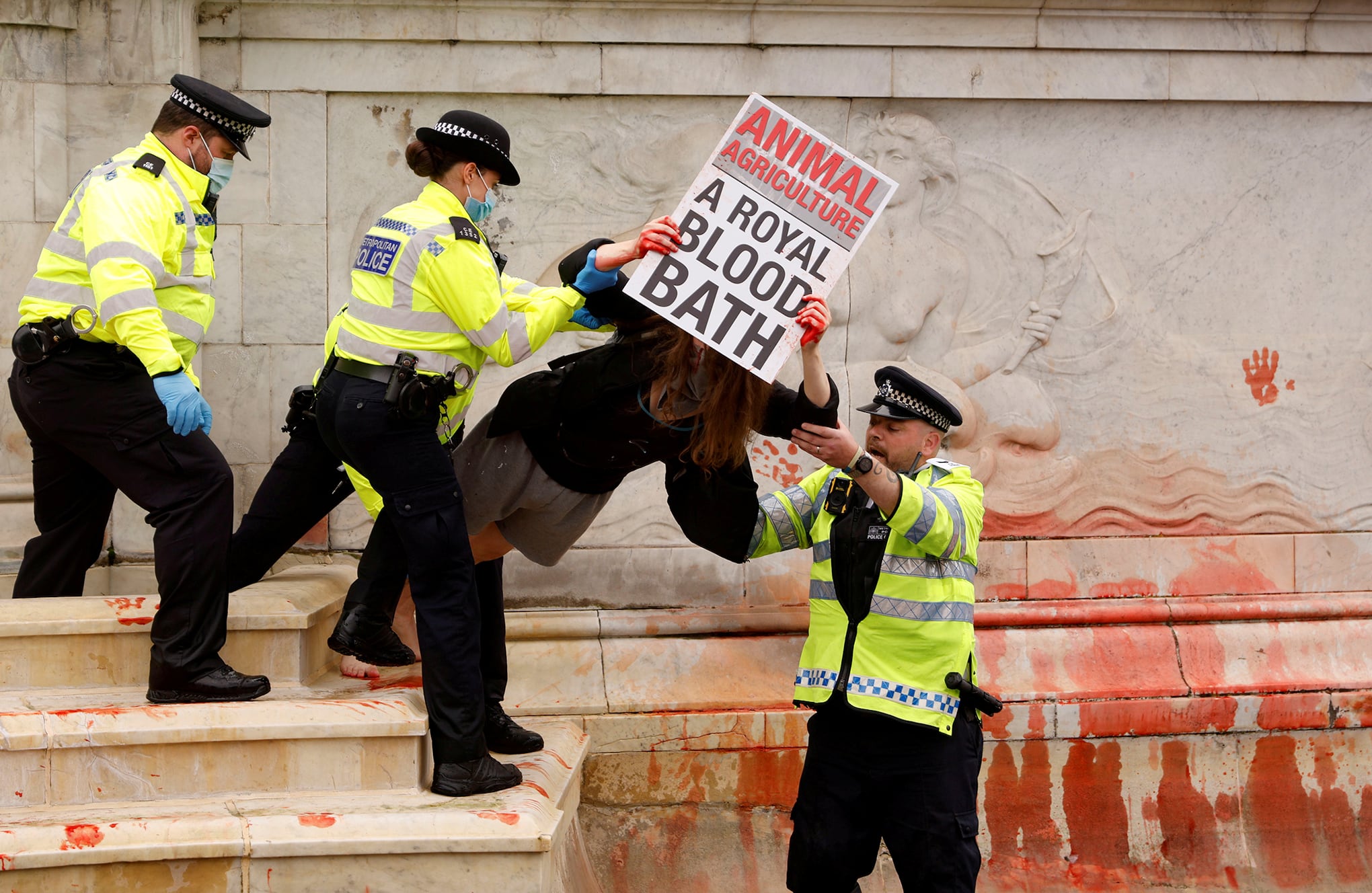 Fotos de la semana 27 agosto