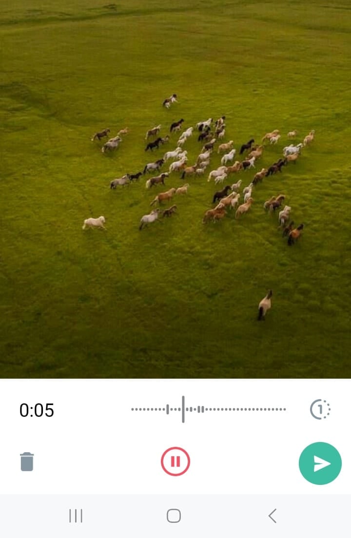 Ahora es posible enviar notas de voz para que solo puedan ser escuchadas una vez.