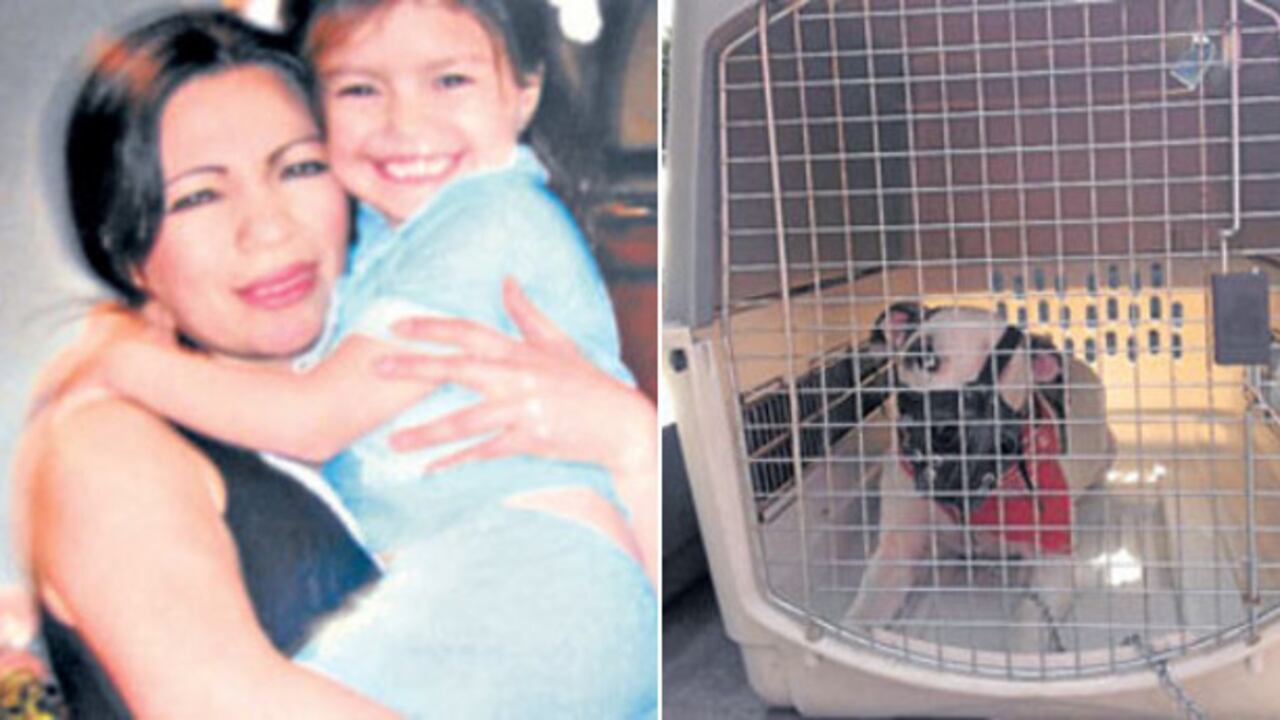 Alexandra Muñoz y su hija María Celeste / El perro Pit Bull que agredió gravemente a ambas personas.