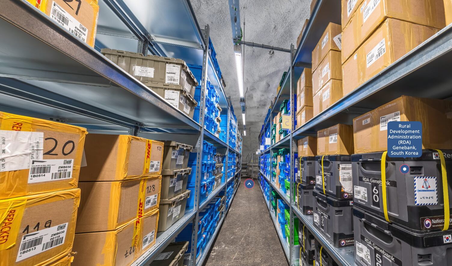 Este es uno de los túneles que conduce a las bóvedas donde se encuentran almacenadas las semillas.