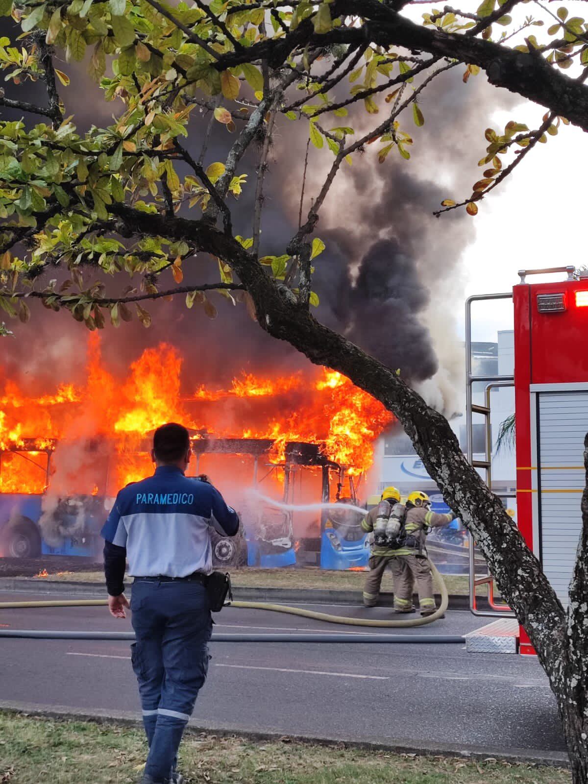 Un bus del MIO se incendió en plena avenida.