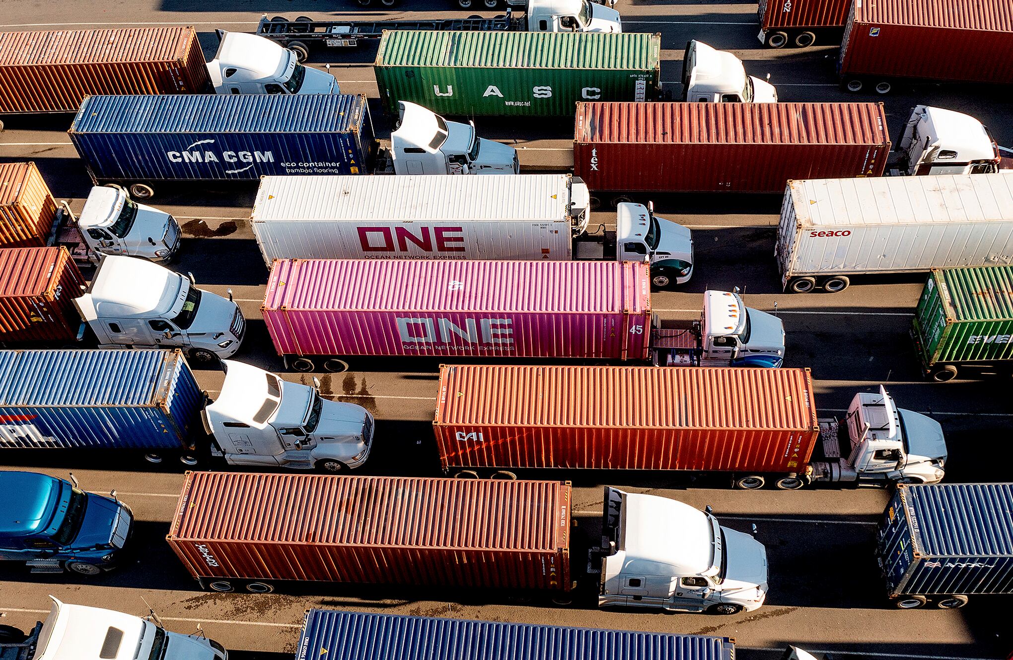 Fotos de la semana 12 nov