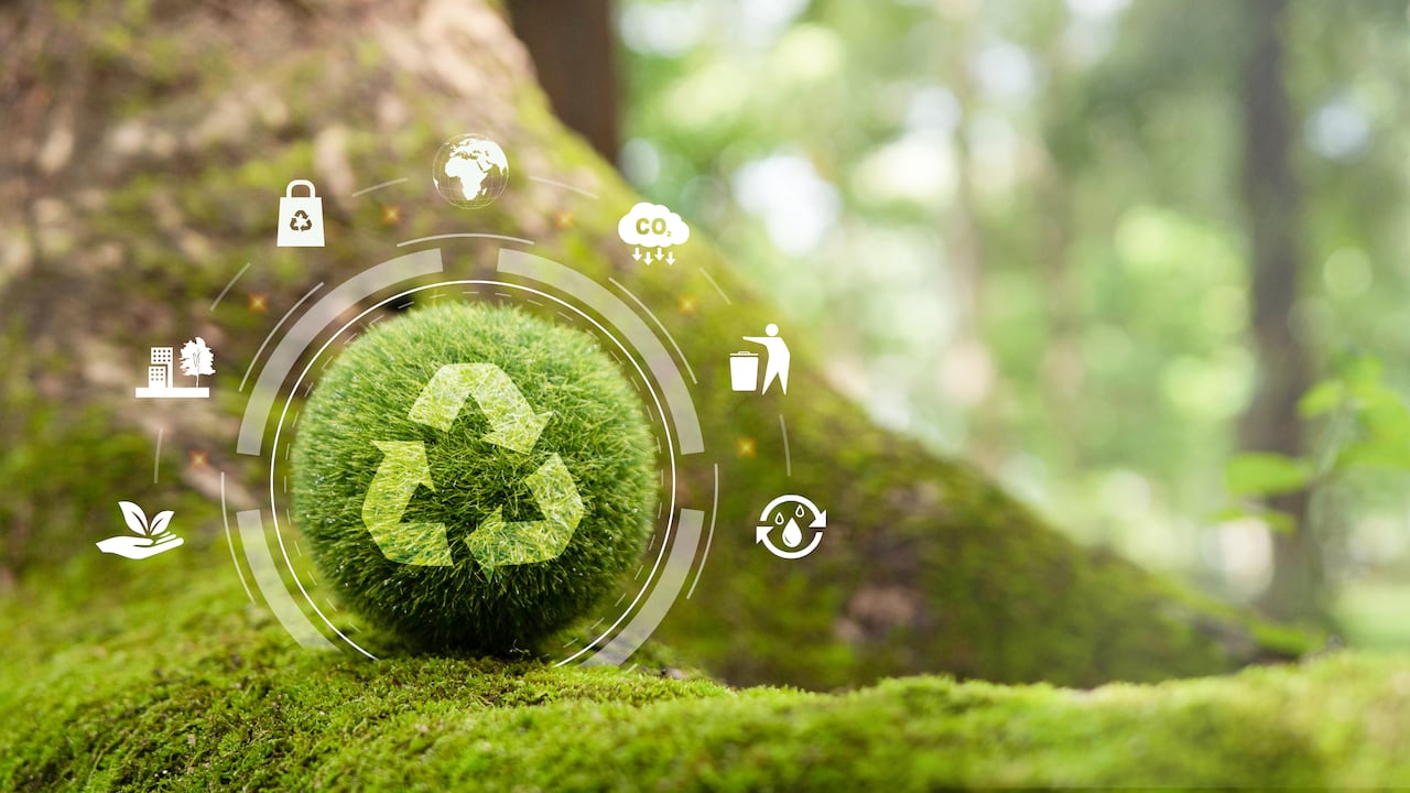 Empresas en Colombia comienzan a adoptar la sostenibilidad para mejorar la competitividad.