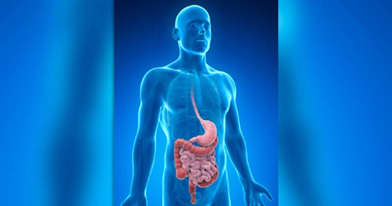 El colon es el órgano encargado de acumular una gran cantidad de desechos que suelen afectar el funcionamiento general del organismo.