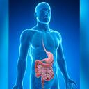 Se trata de un equipo asistido por una computadora, que utiliza una tecnología como la del reconocimiento facial, pero en vez de identificar rostros lo que hace es tomar imágenes del interior del intestino grueso.