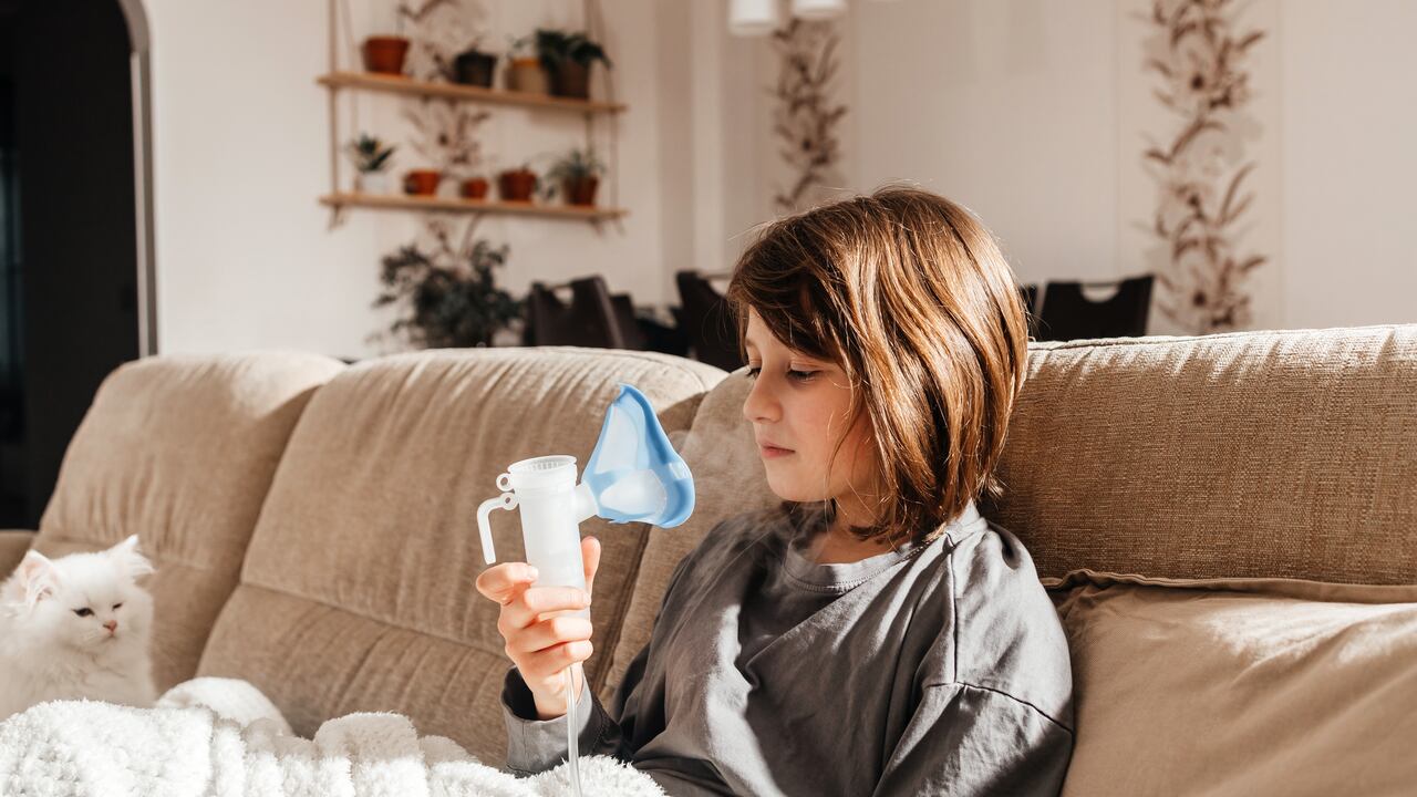 Las espinacas son ricas en clorofila, lo que contribuye a oxigenar la sangre, y proporcionan protección para la salud visual, nutren el cerebro, mejoran la apariencia de la piel y evitan enfermedades respiratorias.