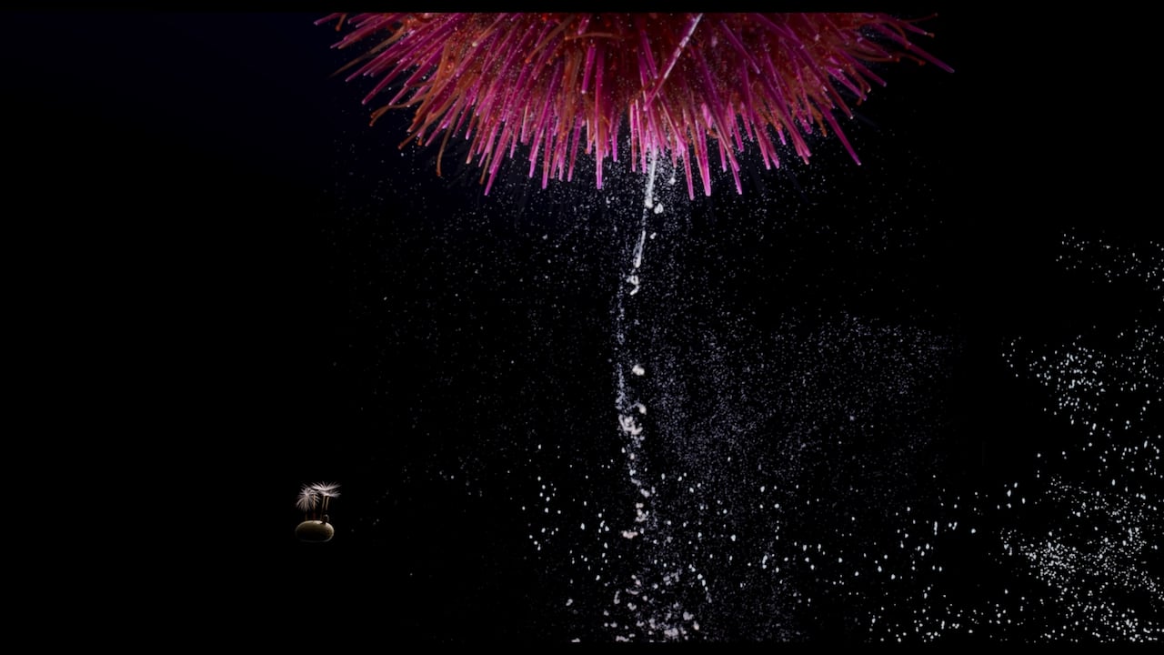 La directora japonesa-francesa Momoko Seto ha desarrollado una obra marcada por la experimentación visual.