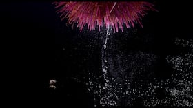 Cuatro semillas de un diente de león son las únicas supervivientes de una serie de explosiones nucleares que destruyen la Tierra. Lanzadas al cosmos, emprenden una aventura inolvidable en busca de un nuevo hogar donde la vida pueda comenzar otra vez.