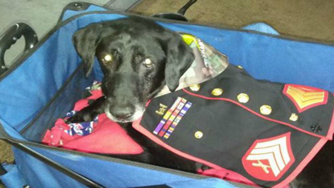 Facebook Jeff DeYoung