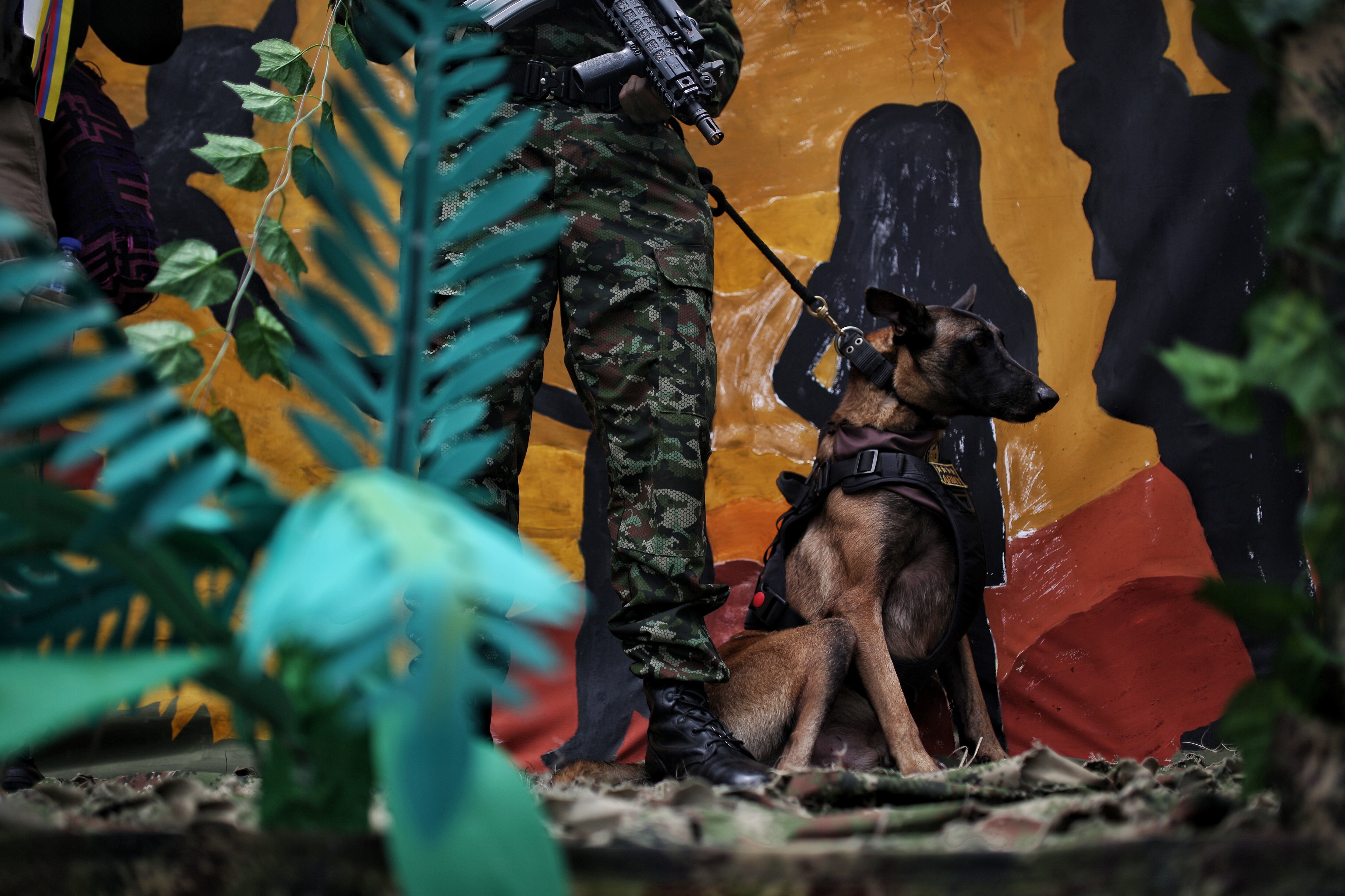 Desfile 20 de julio 2023 Bogotá