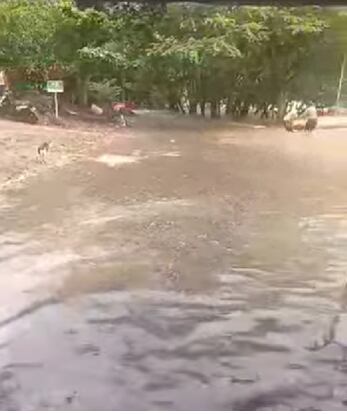 La compuertas se abrieron por una falla eléctrica.