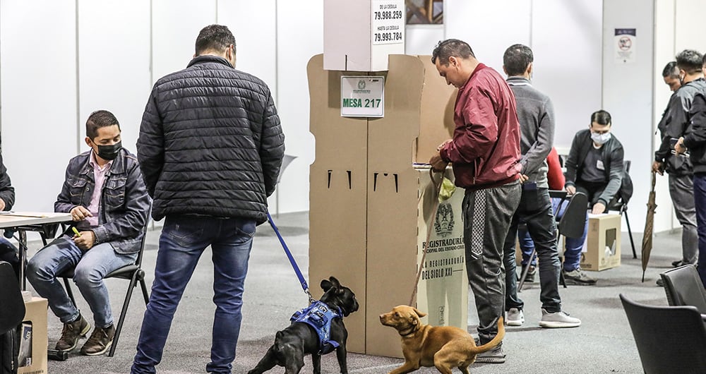Las mascotas fueron unas de las protagonistas de la jornada. Unas esperaron tranquilas y otras se ‘agarraron’ mientras sus amos definían el voto. 