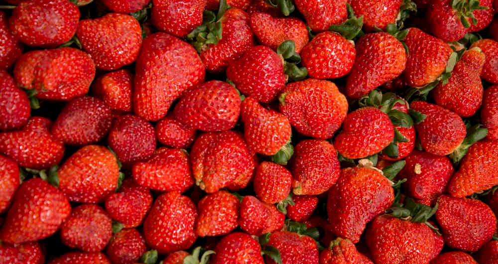 En Colombia hay alrededor de 60.000 hectáreas sembradas con productos orgánicos, según Fedeorgánicos.