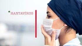 La ausencia de vacunas y tratamientos específicos mantiene la preocupación médica frente al hantavirus.