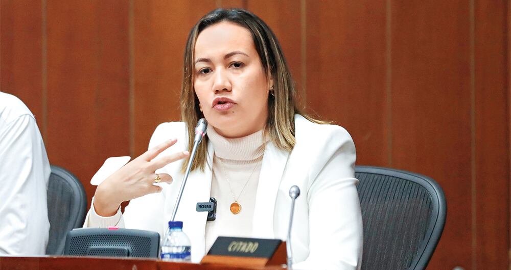 Algunos responsabilizan a la ministra Carolina Corcho.