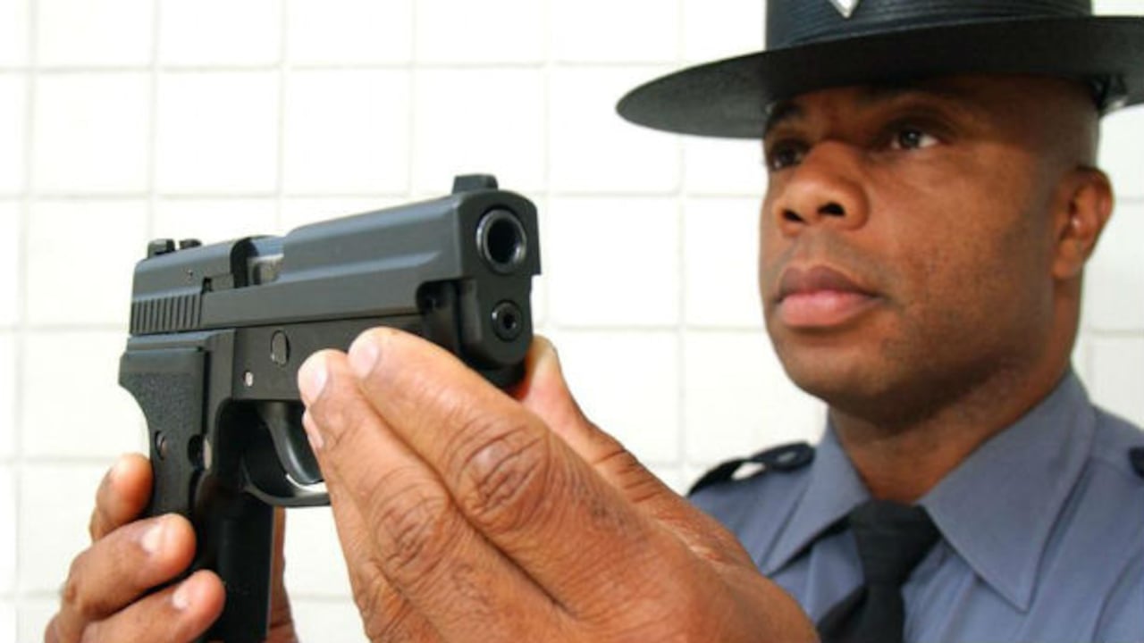 Se trata de 100.000 pistolas SP2022, que son producidas por la firma alemana Sig Sauer.