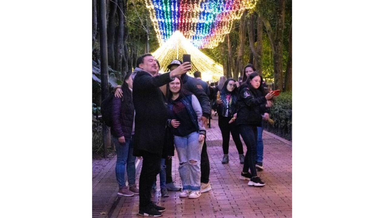 Polinizando, exposición del Jardín Botánico de Bogotá.