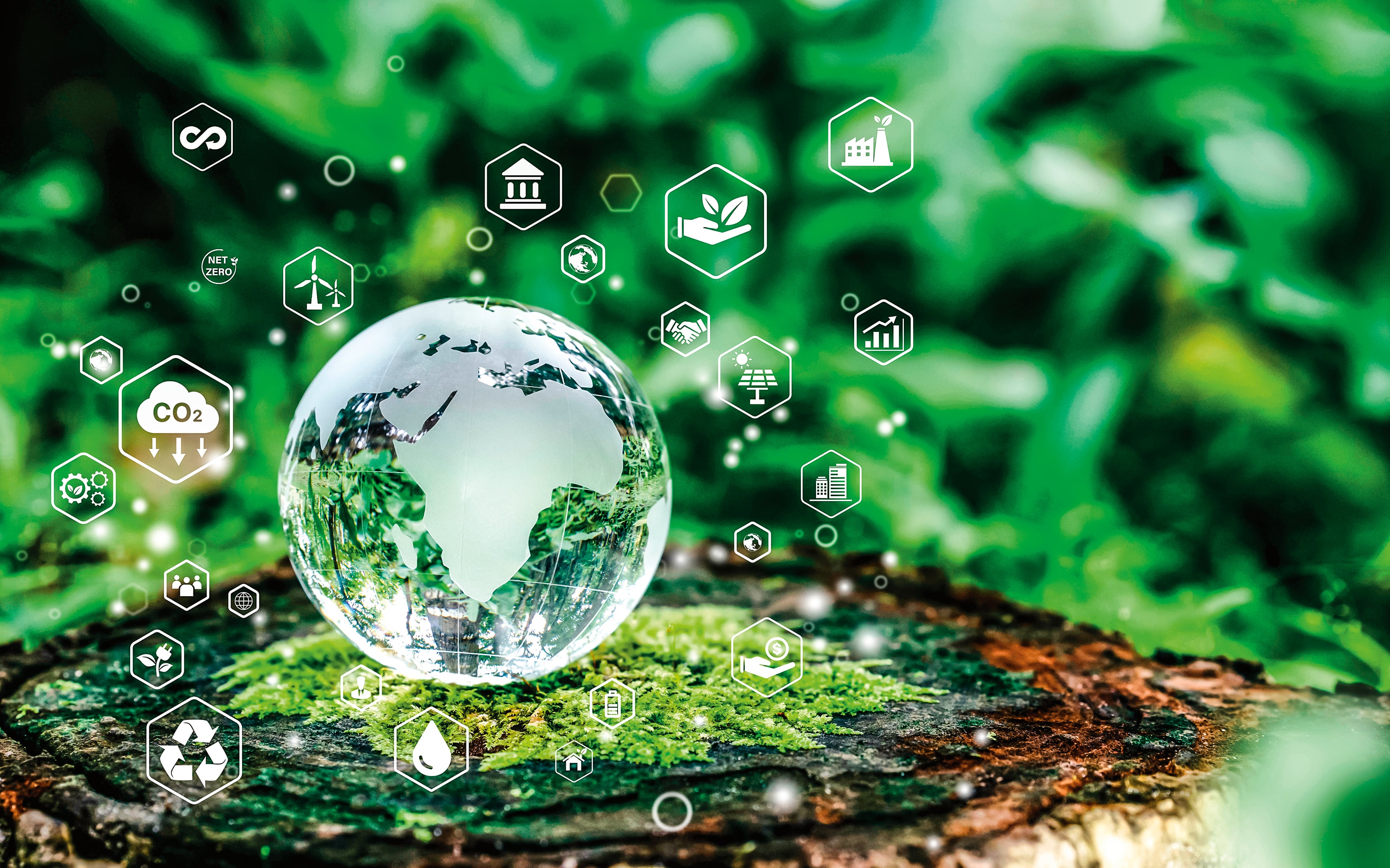 Según datos de Andesco, cerca del 60 por ciento de las compañías de servicios afiliadas al gremio implementan  prácticas sostenibles como, por ejemplo, el trabajo metódico para el tratamiento de aguas residuales.