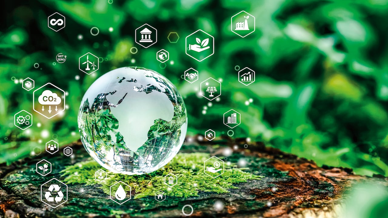 Los consumidores valoran cada vez más a las empresas que responden desde la sostenibilidad a los efectos del cambio climático.