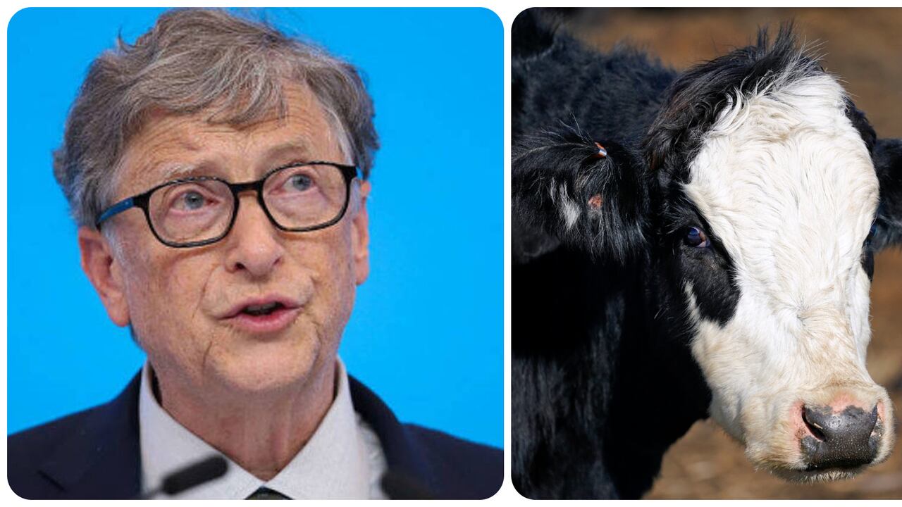Estudio contradice la postura de Bill Gates sobre el consumo de carne, estos son los detalles de la investigación
