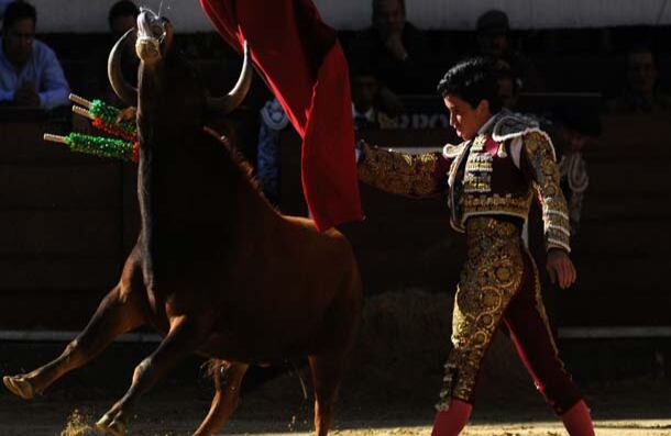Un novillo busca con celo atrapar la muleta de Guillermo Valencia, un clásico de las temporadas de verano en la Santamaría. 