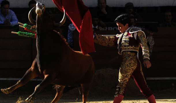 Un novillo busca con celo atrapar la muleta de Guillermo Valencia, un clásico de las temporadas de verano en la Santamaría. 