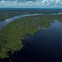 El objetivo de este encuentro es discutir estrategias contra la deforestación, el crimen organizado y de desarrollo sustentable de esta vasta región, que alberga alrededor del 10% de la biodiversidad del planeta.