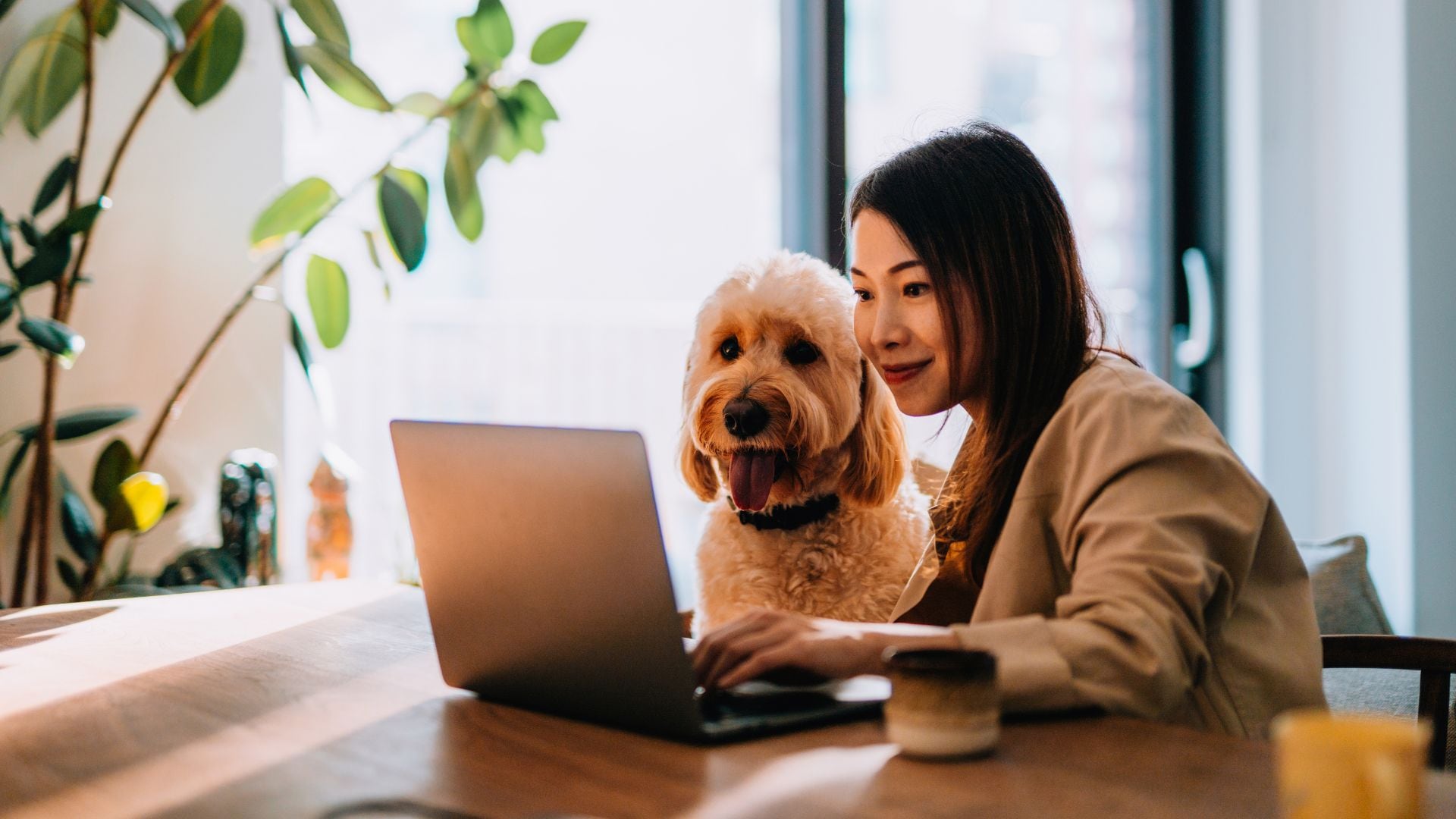 Las personas de estratos 1, 2 y 3 pueden acceder a este servicio.