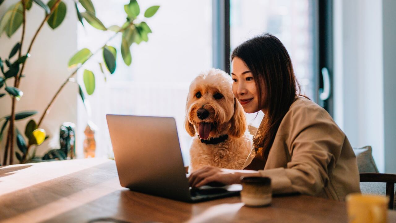 Las personas de estratos 1, 2 y 3 pueden acceder a este servicio.