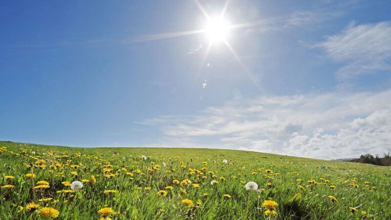 Los seres vivos necesitan del calor del Sol para sobrevivir.
