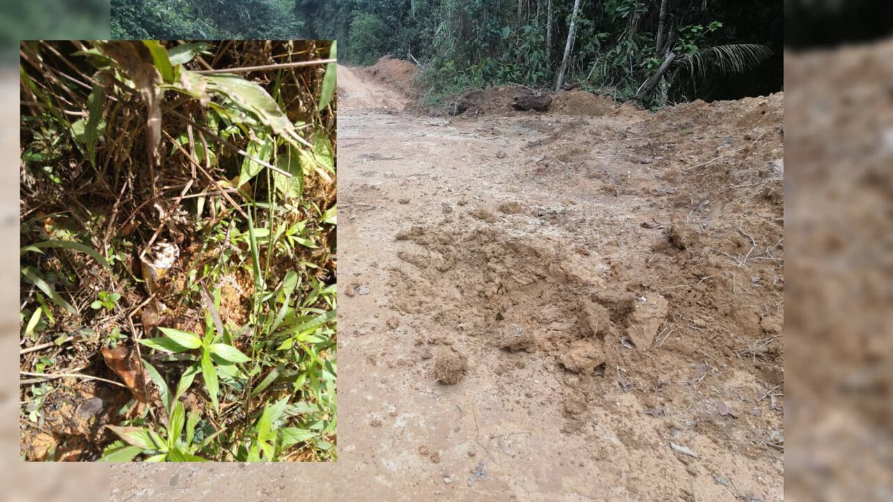 La destrucción se realizó de manera controlada.